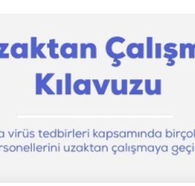 Uzaktan Çalışma Kılavuzu