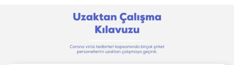 Uzaktan Çalışma Kılavuzu