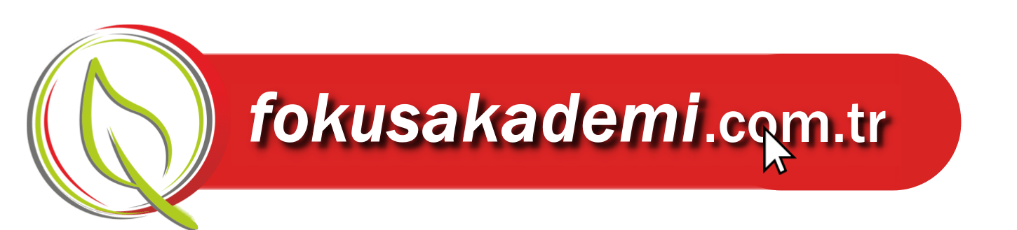 Yatay web adresi logosu