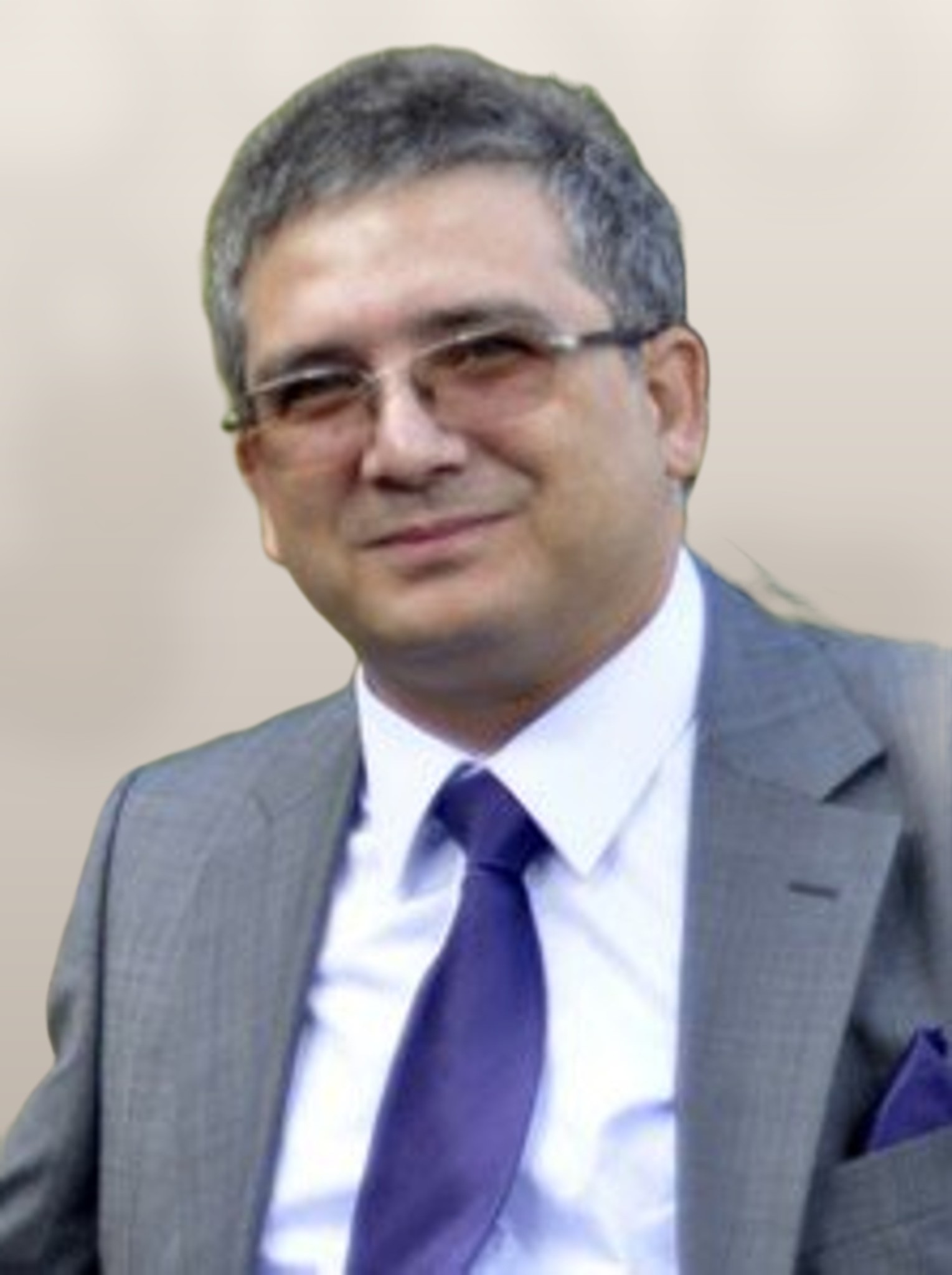 Mehmet Ruhi Gökmoğol